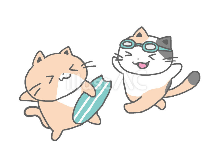 夏を楽しむ猫たちのイラスト 夏,ねこ,たのしいのイラスト素材