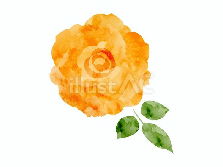 薔薇（水彩風）6 バラ,水彩風,オレンジ色のイラスト素材