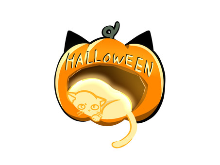 ハロウィンのひかる猫