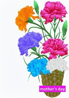 Illustration, carnation, flower, plant, 