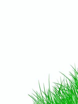 grass, frame, lawn, frame, JPG and PNG