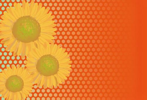 Sunflower card, JPG Sunflower card, summer, sunflower, summer festival, JPG