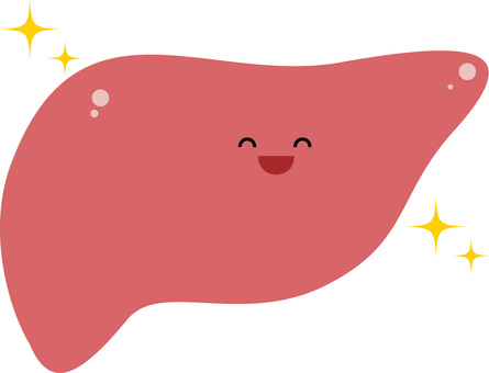 健康な肝臓のイラスト 肝臓,臓器,身体,健康,可愛い,内臓のイラスト素材