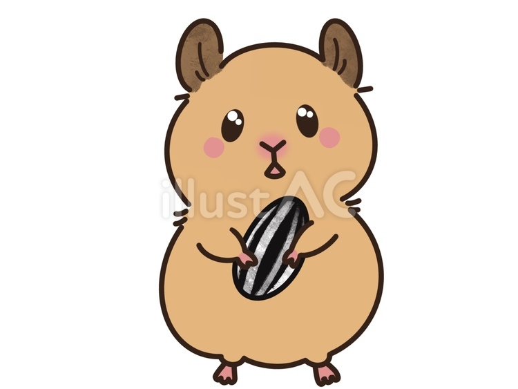 ひまわりの種を持つハムスター ひまわりの種,種,ハムスターのイラスト素材