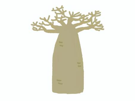バオバブの木 バオバブ,樹木,葉無し,茶色,1本,枝のイラスト素材