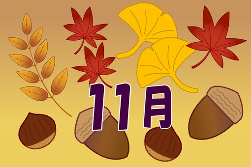 11月のイメージ  11月のイメージ  11月,どんぐり,イチョウ,栗,銀杏,落ち葉,紅葉,葉,黄色,木の実のイラスト素材