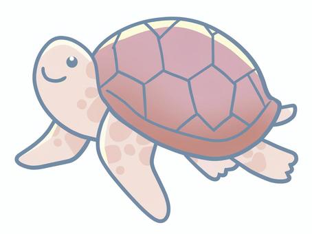 ウミガメ ウミガメ カメ,動物,可愛い,癒し,海,水族館,水のイラスト素材