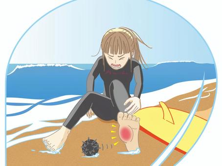 ウニを踏んだ女性サーファー  女性,ケガ,女の子,ウニ,サーファー,1人,海,海岸,砂浜,20代のイラスト素材