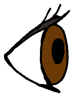 目2 目,視線,見る,横,眼,瞳,視力,目視,眼球,眼科のイラスト素材