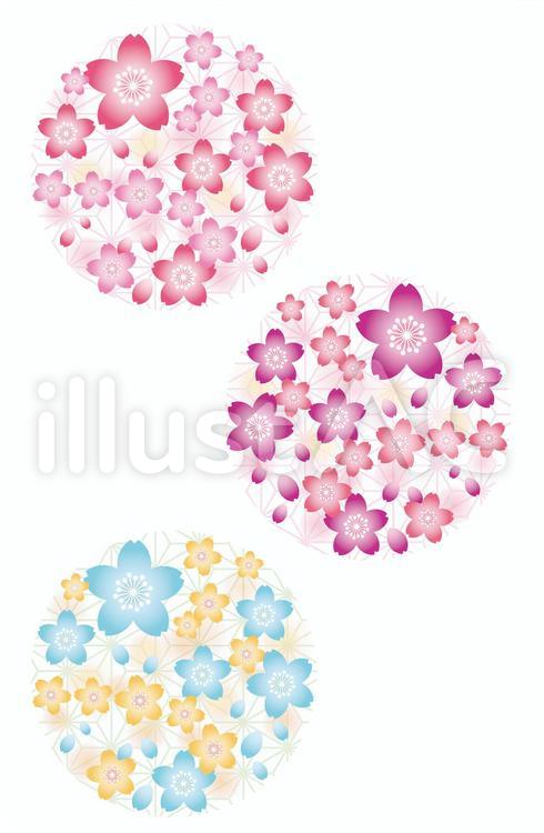 桜　円 桜,円,丸のイラスト素材