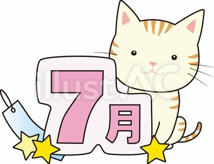 7月猫