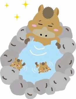温泉でくつろぐかわいい親子馬のイラスト 馬,午年,干支,親子,仔馬,温泉,露天風呂,家族,癒し,リラックスのイラスト素材