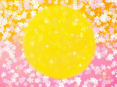 Sakura and moon illustration background, Sakura and moon illustration background, cây anh đào, tháng, mùa xuân,