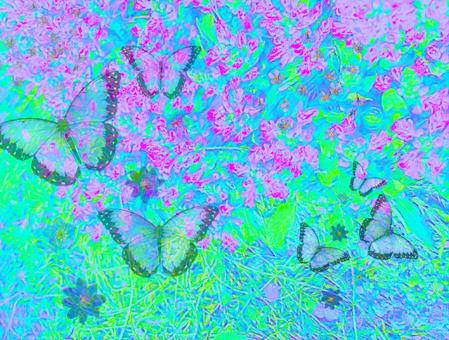 ちょうちょ　背景　植物　おしゃれ　