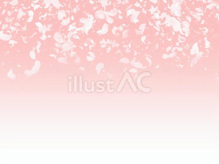 桜グラデーション(白) 桜,桜吹雪,春のイラスト素材