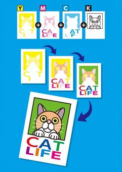 4色印刷の説明図_C 印刷,プリント,cmyk,オフセット印刷,4色,4色印刷,多版刷り,4色版,ymck,猫のイラスト素材