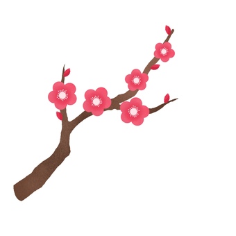 梅の枝