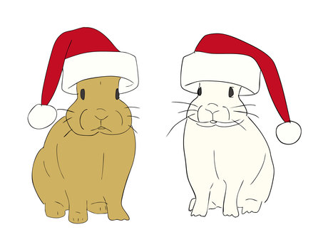 サンタの帽子をかぶったウサギ サンタの帽子をかぶったウサギ ウサギ,サンタクロース,帽子,クリスマス,仮装,動物,冬のイラスト素材