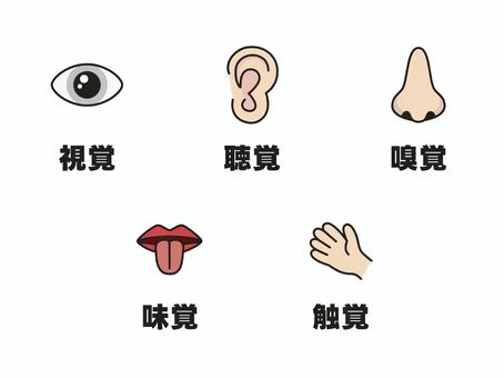 五感のパーツ　セット１ 視覚,目,眼,視線,視力,見る,瞳,五感,パーツ,聴覚のイラスト素材