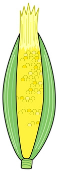 Corn, corn, vegetables, summer vegetables, JPG, PNG and AI