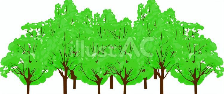 森　 森,林,木のイラスト素材