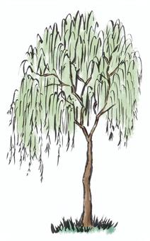 柳の木 柳,木,自然,緑,筆描き,墨絵,水墨画,植物のイラスト素材