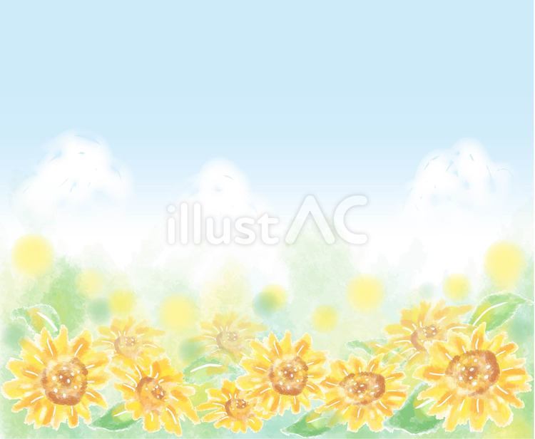 ひまわり畑と青空 ひまわり,夏,背景のイラスト素材