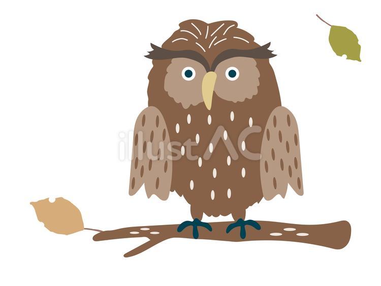 ふくろう 梟,フクロウ,鳥のイラスト素材