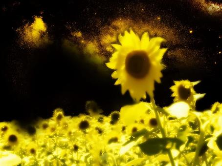 Sunflower and mysterious world, flower, light, space, JPG