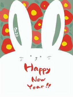 Illustration, new year's card, rabbit, rabbit year, 