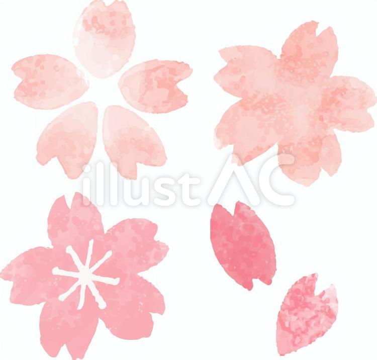 桜の花 桜,満開,和風のイラスト素材
