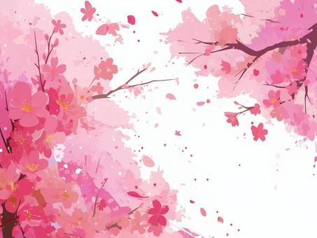 Cherry blossom frame, cherry blossoms, cherry-blossom viewing, spring, JPG