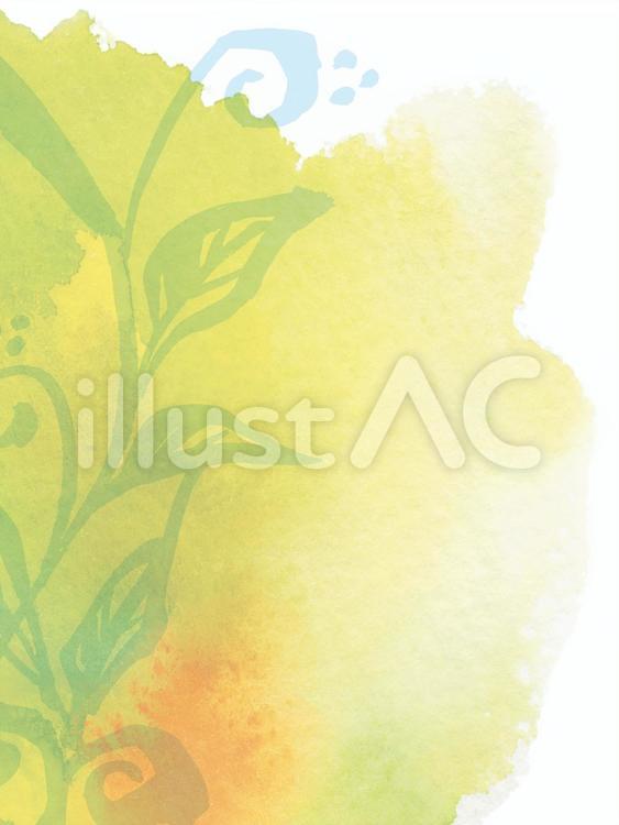 手描き水彩植物イメージ　ボタニカル 手描き,水彩,ボタニカルのイラスト素材