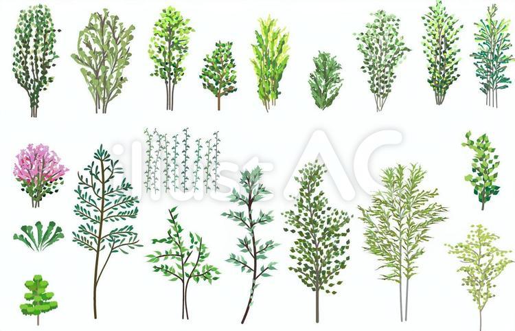 樹木のイラストのセット 木,花,植物のイラスト素材