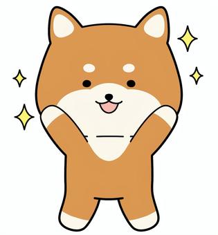 Happy Shiba Inu tea, JPG and PNG Happy Shiba Inu tea, animal, dog, shiba inu, JPG and PNG