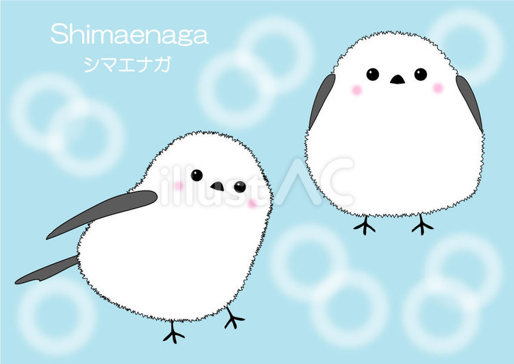 シマエナガのイラスト シマエナガ,鳥,白いのイラスト素材
