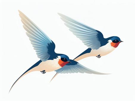 Illustration, swallow, bird, blue, 