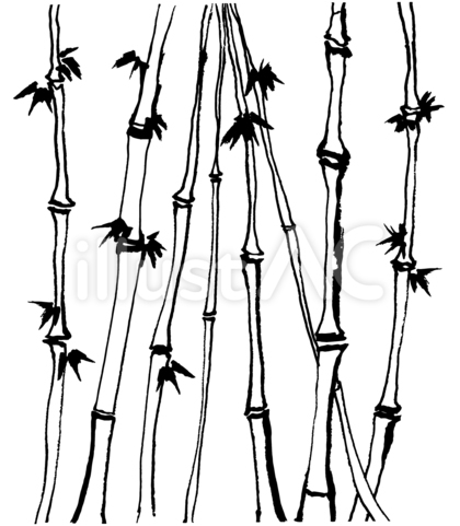 竹 竹林 毛筆イラスト