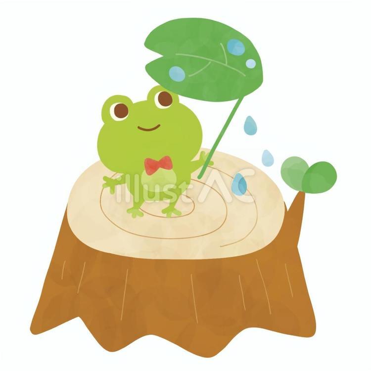 梅雨 梅雨,カエル,切り株のイラスト素材