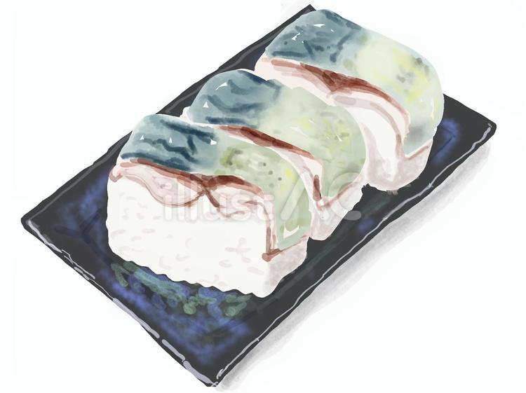 鯖寿司 鯖寿司,バッテラ,寿司のイラスト素材