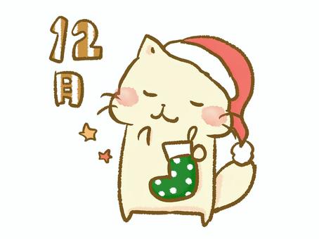 12月 ねこ,12月,サンタ,クリスマス,星,願い,笑顔,プレゼント,楽しみ,うれしいのイラスト素材