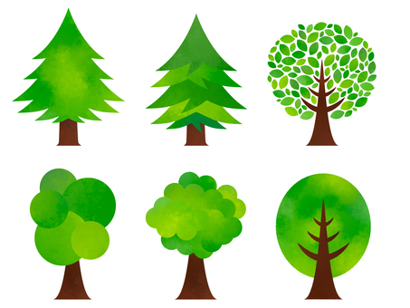 水彩素材_木々02 木,モミの木,杉,針葉樹,樹木,大木,緑,春,夏,初夏のイラスト素材