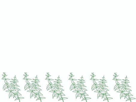 シンプルな枝葉＿ボタニカルな背景