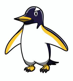 ジェンツーペンギン ジェンツーペンギン,ペンギン,海の生き物,水族館,冬,南極のイラスト素材