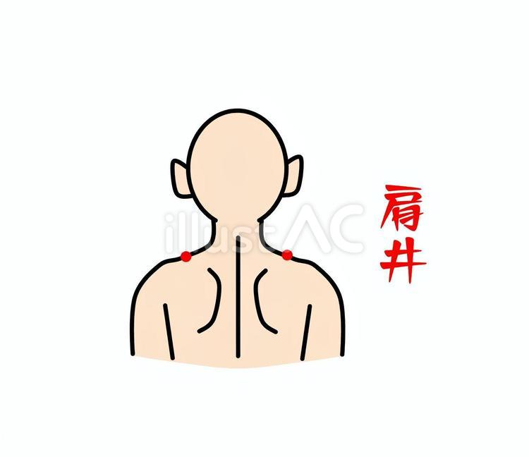 肩井 鍼灸,ツボ,経穴のイラスト素材