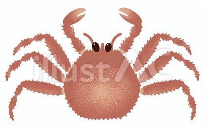 タラバガニ