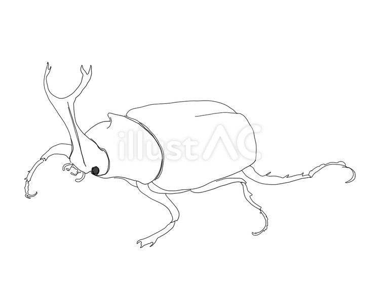 カブトムシの立ち姿 カブトムシ,昆虫,生き物のイラスト素材