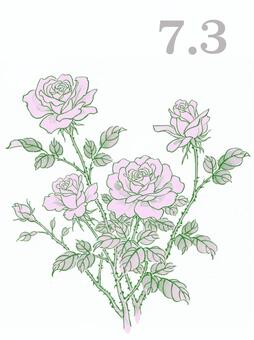 バラ(ピンク) 花,バラ,ピンク,誕生花,7月3日,線画,手描き,デフォルメのイラスト素材