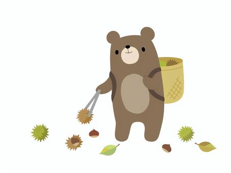 栗拾いをするクマさん 栗,栗拾い,クマ,秋,落ち葉,手描きのイラスト素材