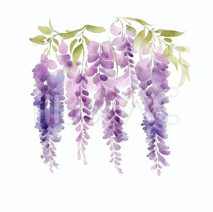 水彩タッチ 藤の花